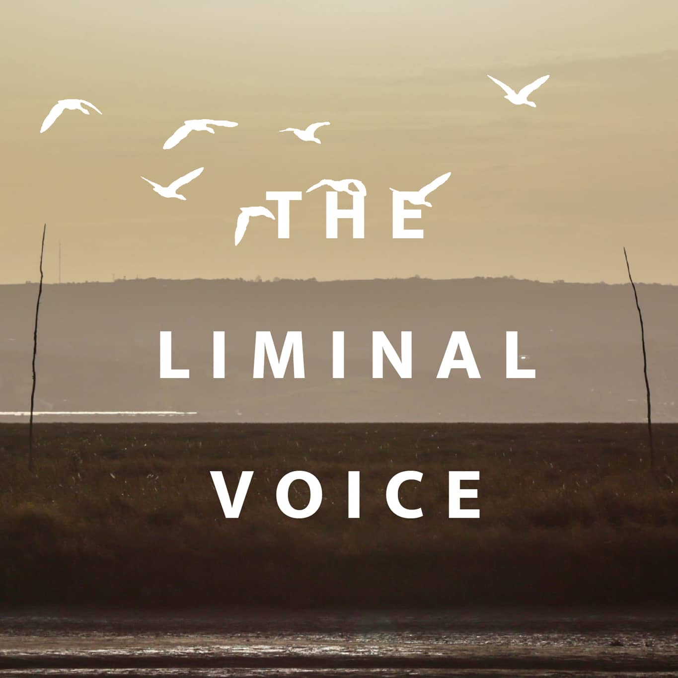 The Liminal Voice